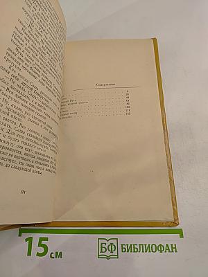 В хвойном море