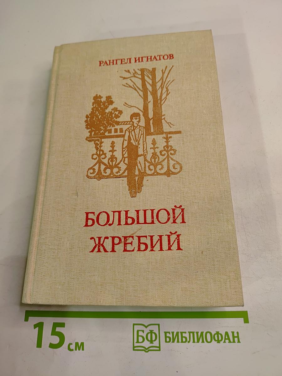 Большой жребий