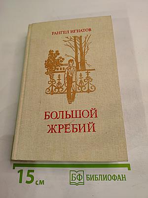 Большой жребий