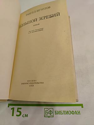 Большой жребий