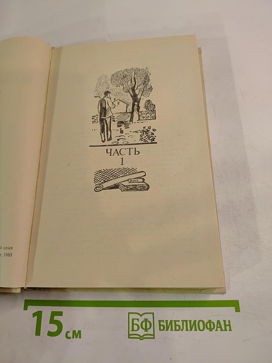 Большой жребий