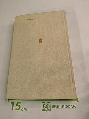 Большой жребий