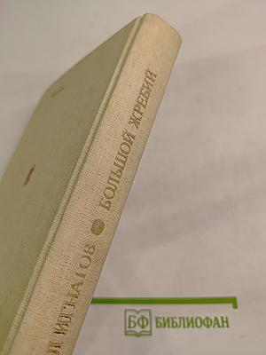 Большой жребий