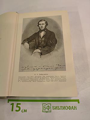 Н. А. Добролюбов в воспоминаниях современников