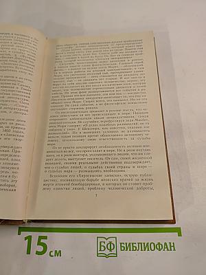 Записки пинчраннера