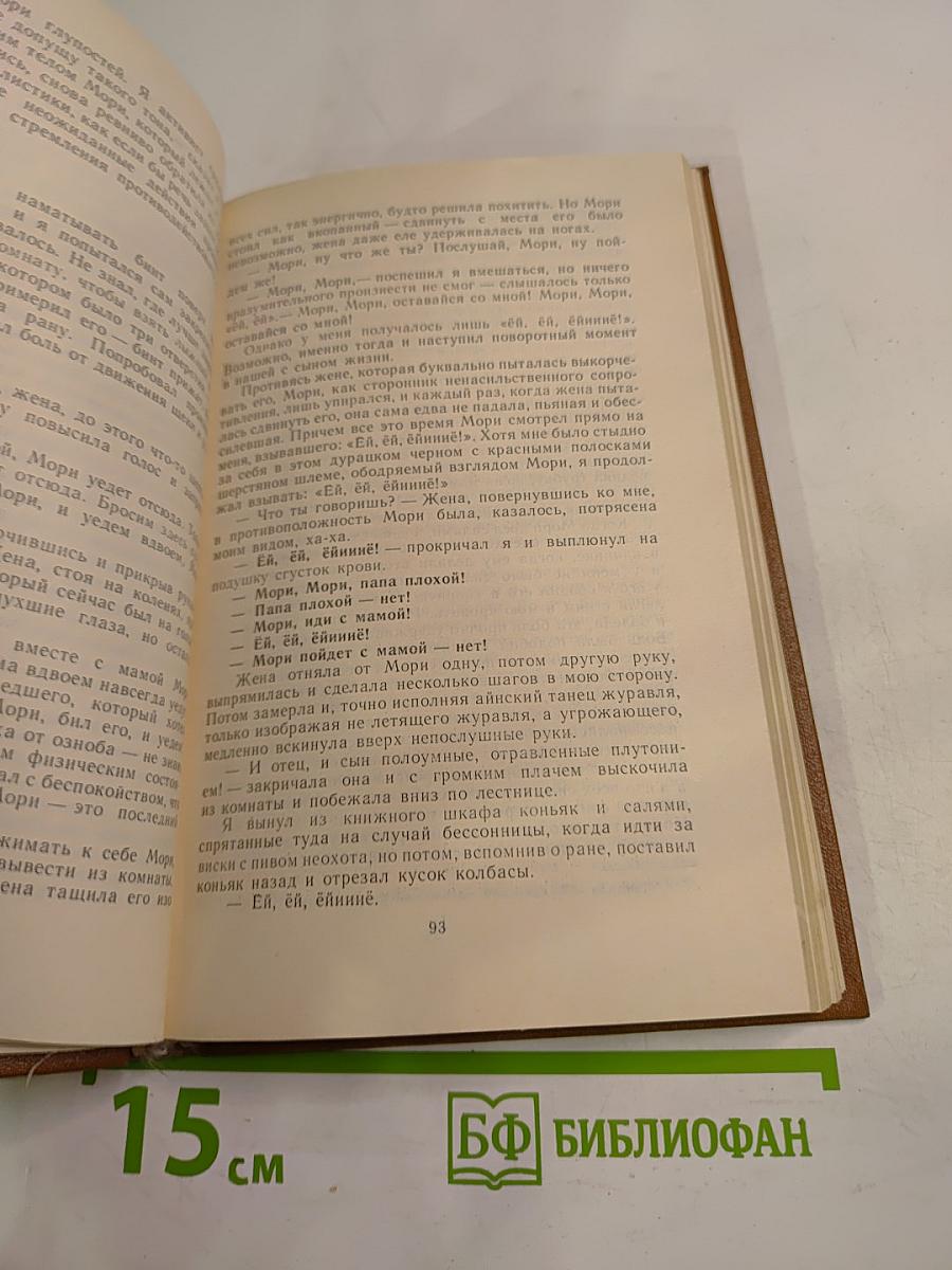 Записки пинчраннера