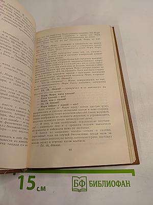 Записки пинчраннера