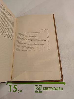 Записки пинчраннера