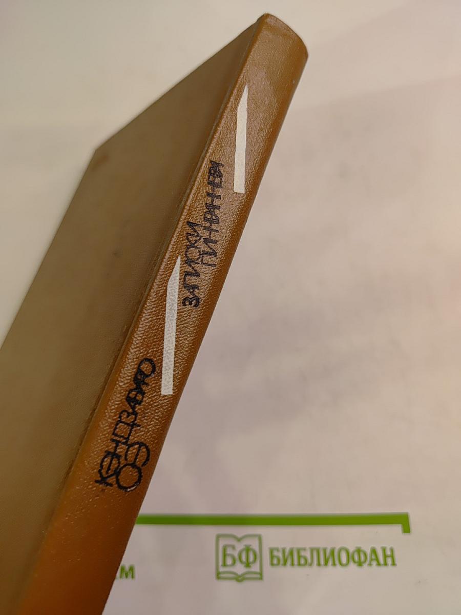 Записки пинчраннера