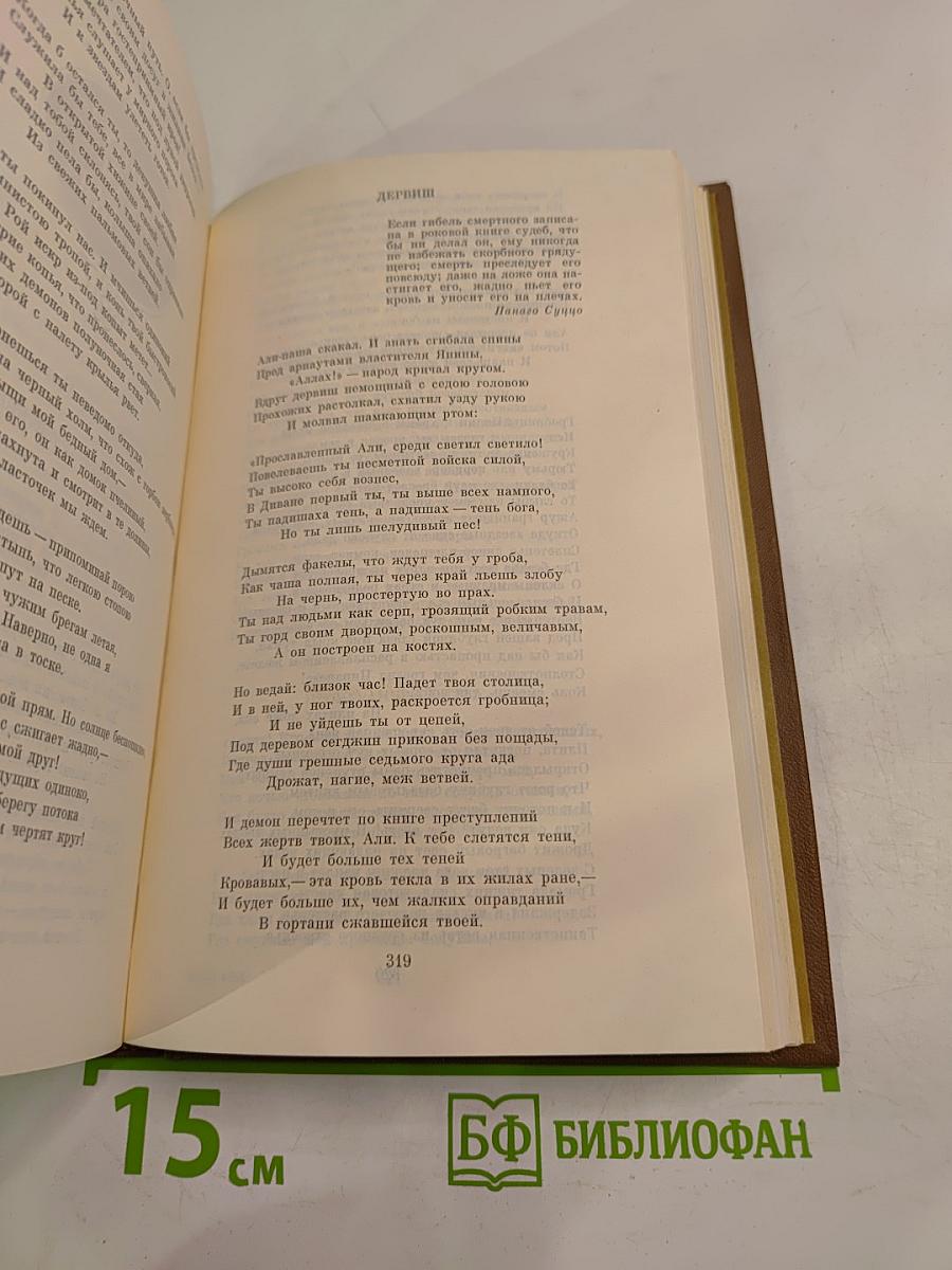 Восточные мотивы. Стихотворения и поэмы