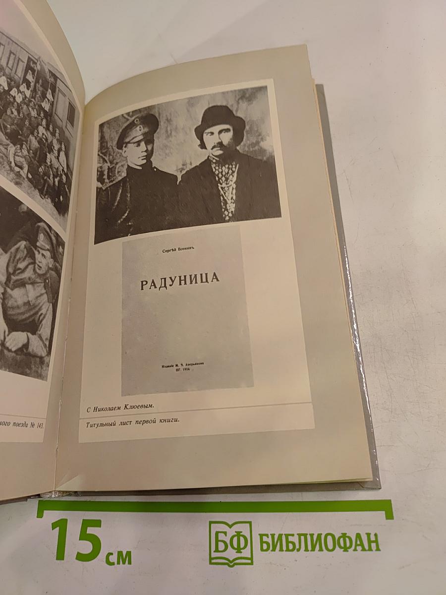 Весенней гулкой ранью... Этюды-раздумья о Сергее Есенине