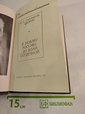 Я люблю Россию до боли сердечной