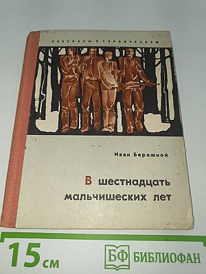 В шестнадцать мальчишеских лет