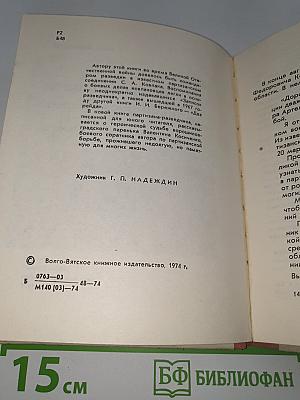 В шестнадцать мальчишеских лет