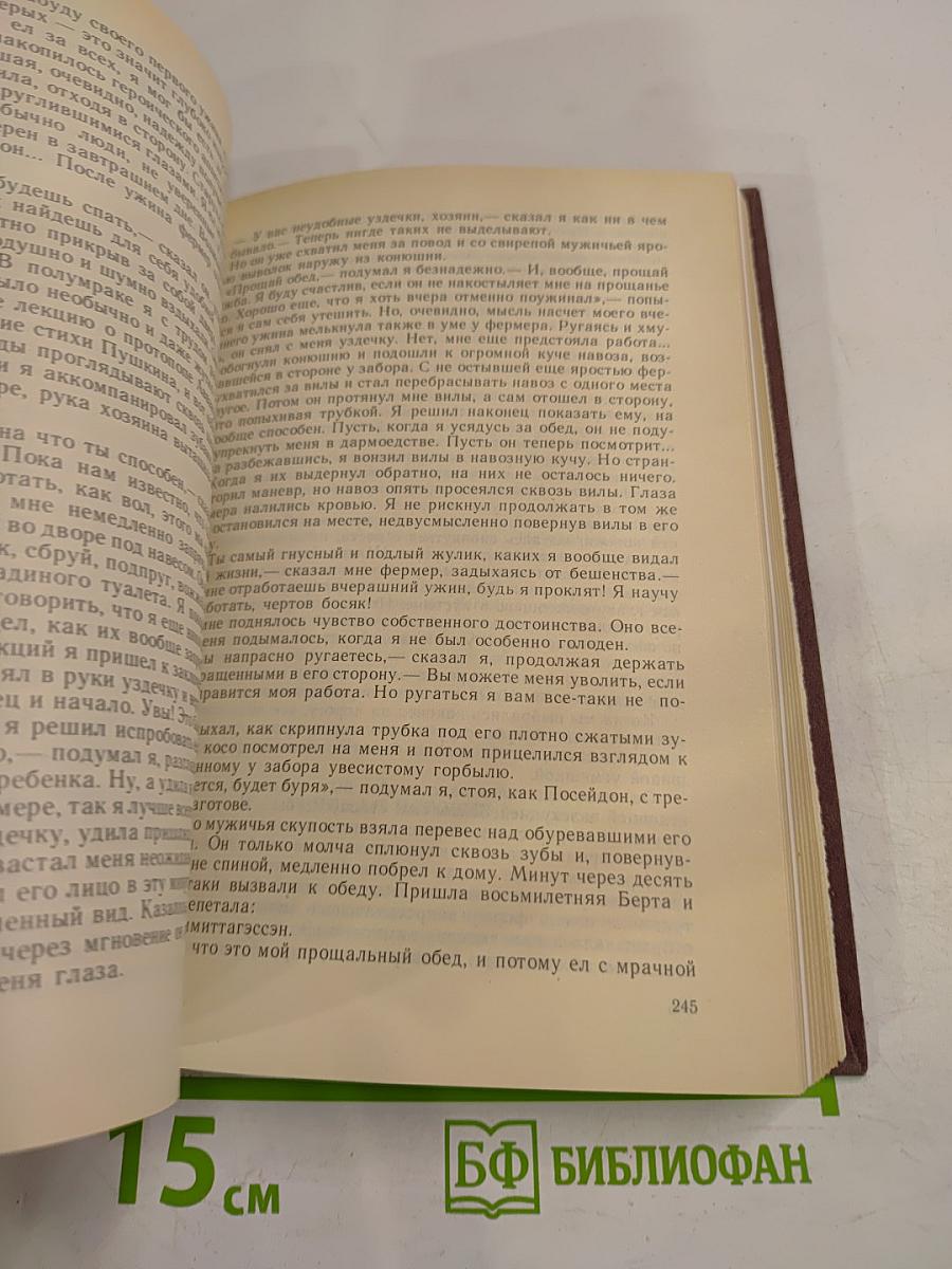 Канареечное счастье