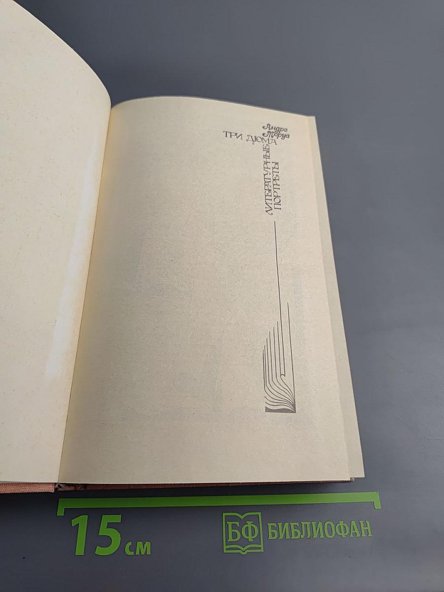 Три Дюма. Литературные портреты