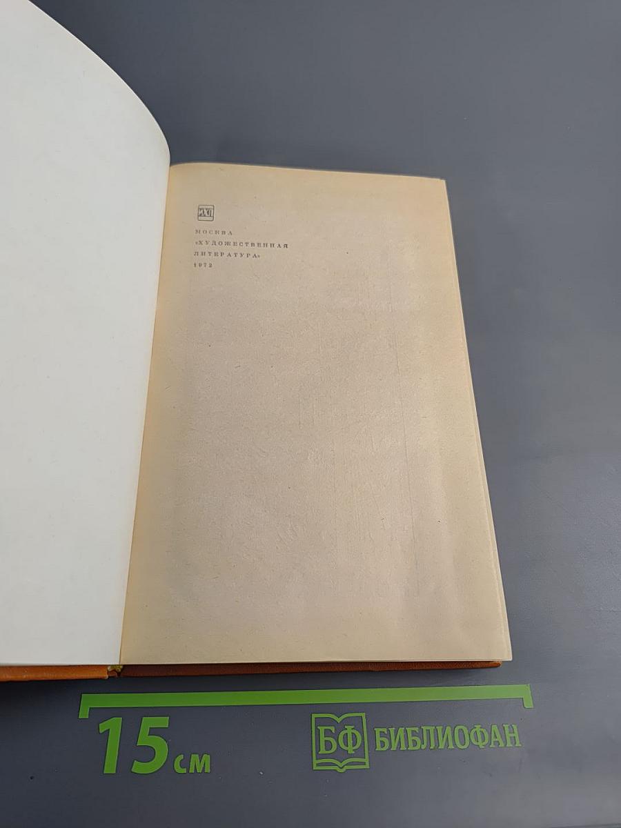 Комедия флорентийских нимф Амето. Фьямметта