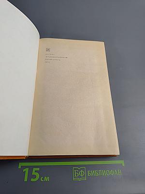 Комедия флорентийских нимф Амето. Фьямметта