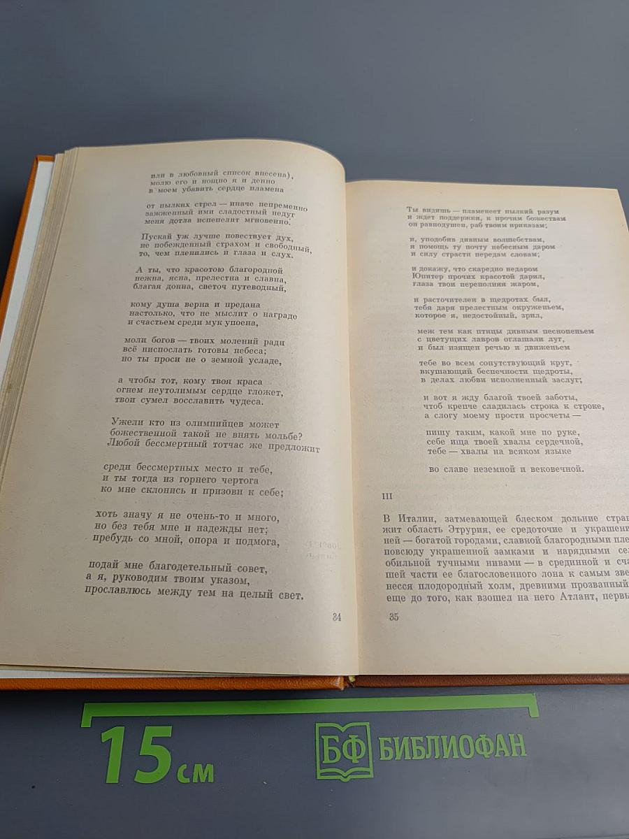 Комедия флорентийских нимф Амето. Фьямметта