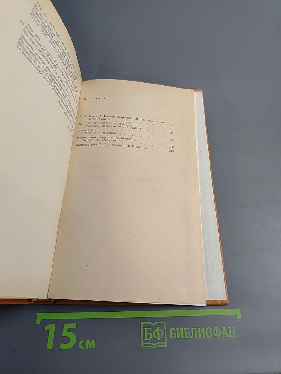 Комедия флорентийских нимф Амето. Фьямметта