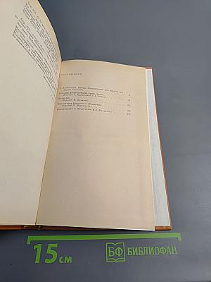 Комедия флорентийских нимф Амето. Фьямметта