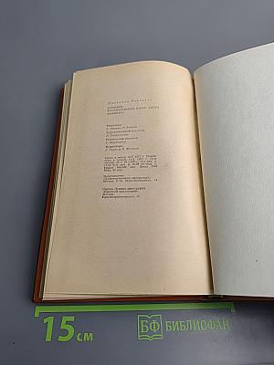 Комедия флорентийских нимф Амето. Фьямметта