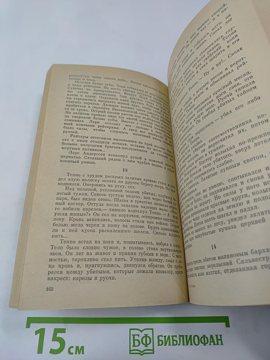 Ошибка полковника Андерса Стюарта