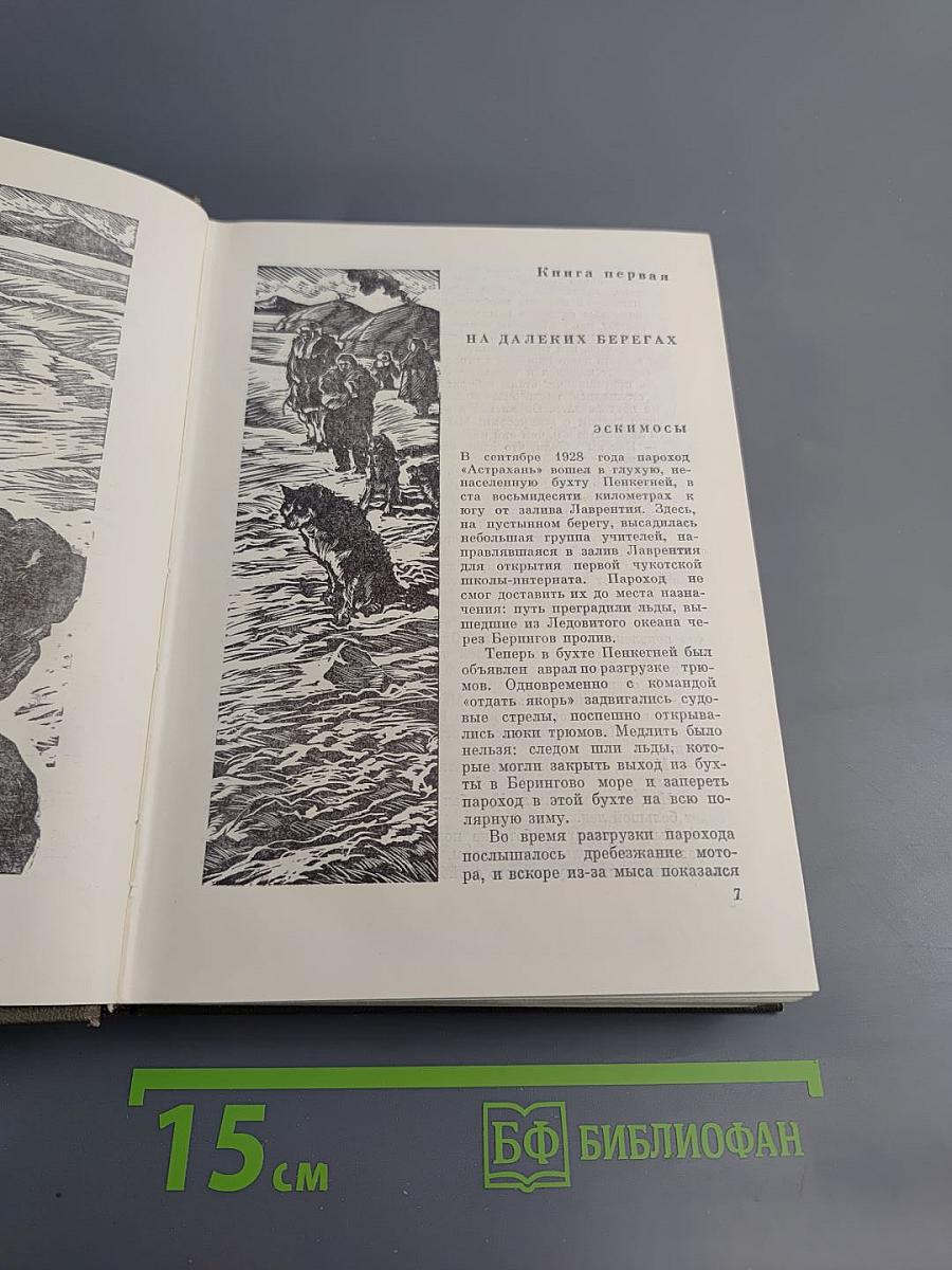 Чукотка. Сын Арктики. Очерки. Том 2