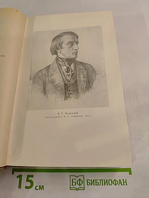 В.Г. Белинский в воспоминаниях современников