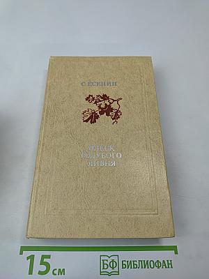 Плеск голубого ливня