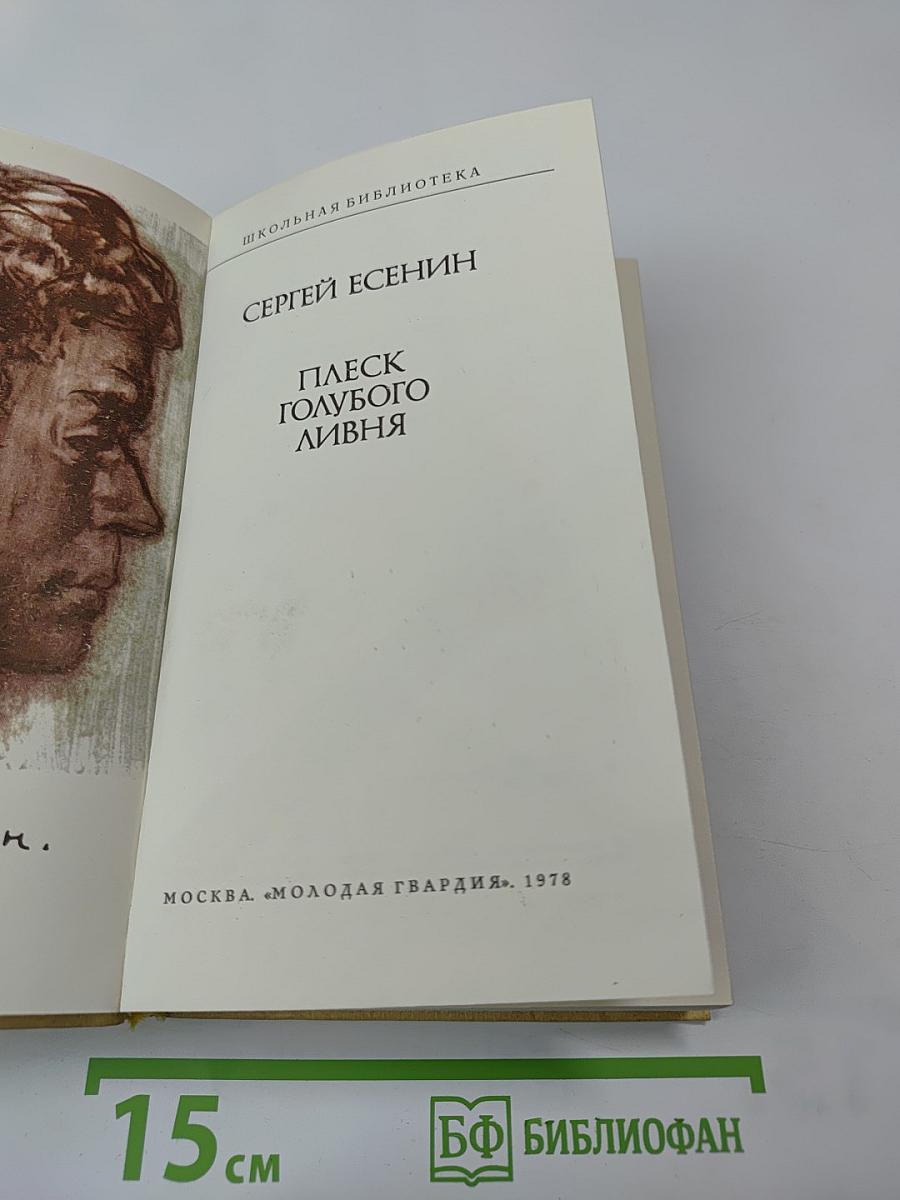 Плеск голубого ливня