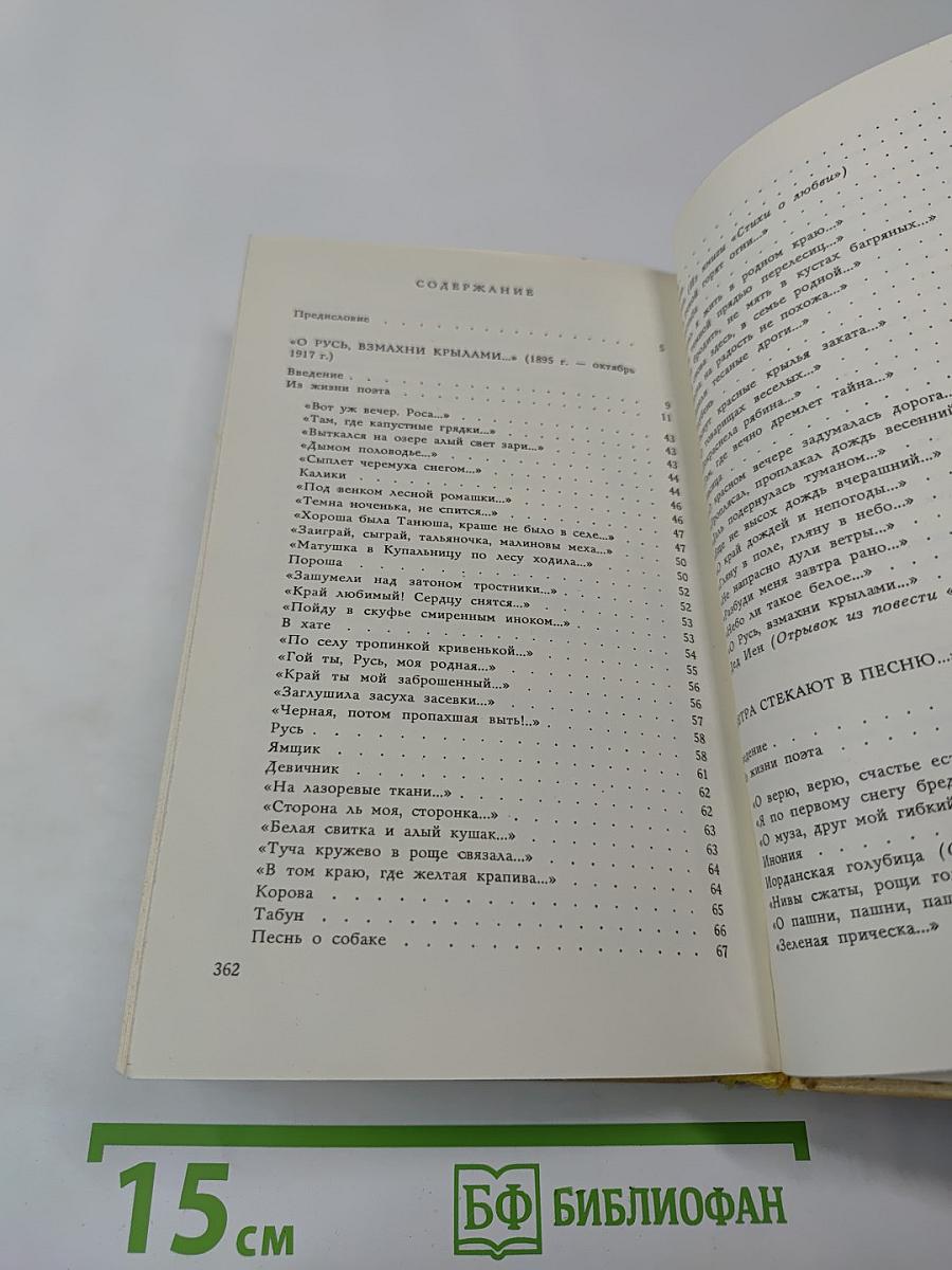 Плеск голубого ливня