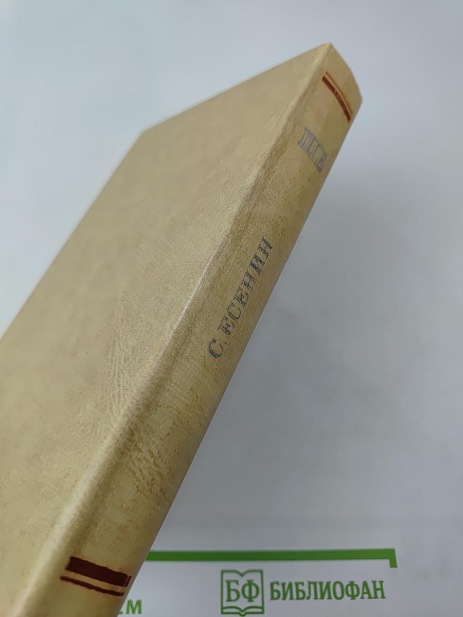 Плеск голубого ливня