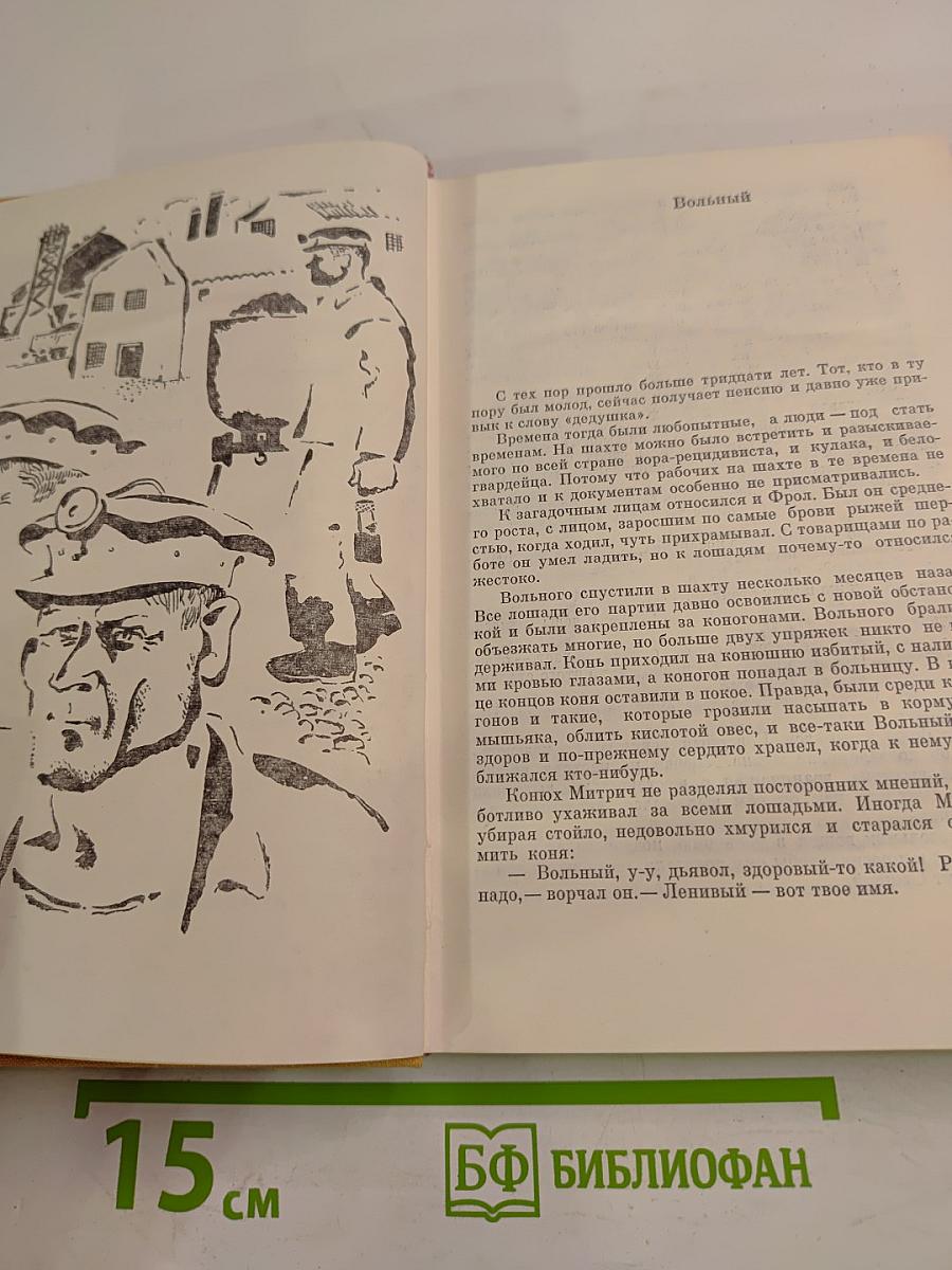 Соломенный кордон