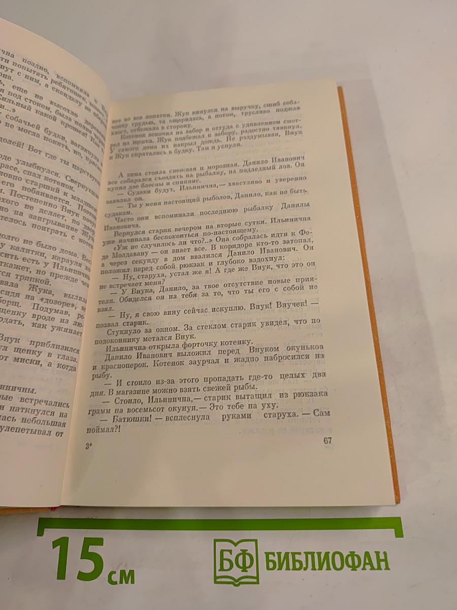 Соломенный кордон