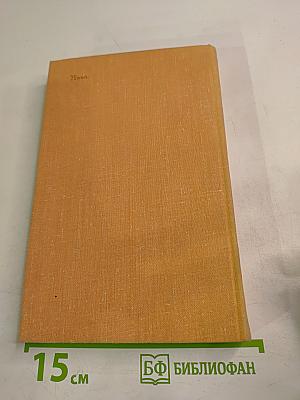 Соломенный кордон