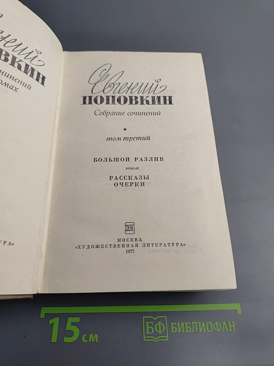 Собрание сочинений. Том 3: Большой разлив. Рассказы. Очерки