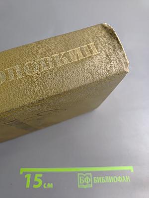 Собрание сочинений. Том 3: Большой разлив. Рассказы. Очерки