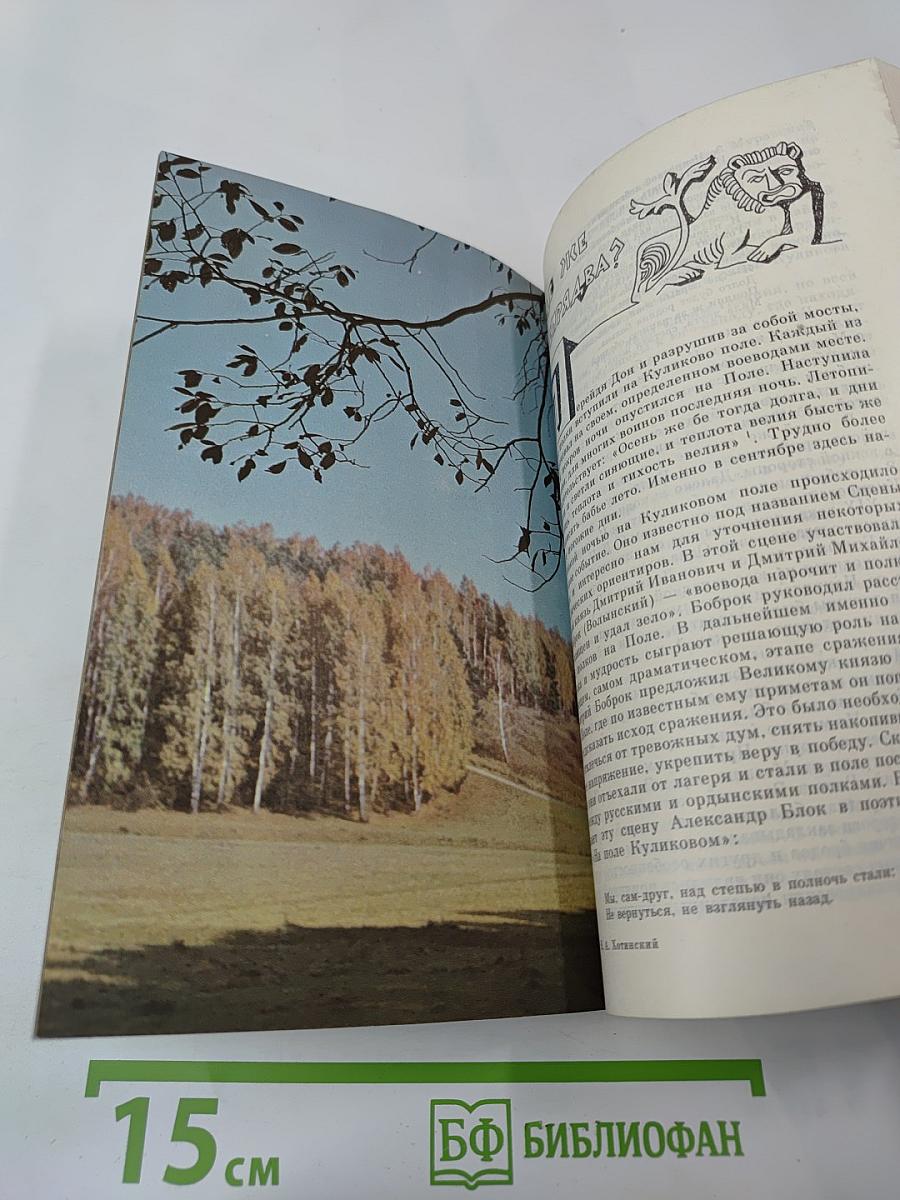 Ковыль-трава на Куликовом поле