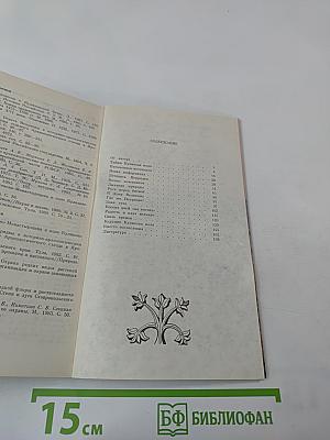 Ковыль-трава на Куликовом поле