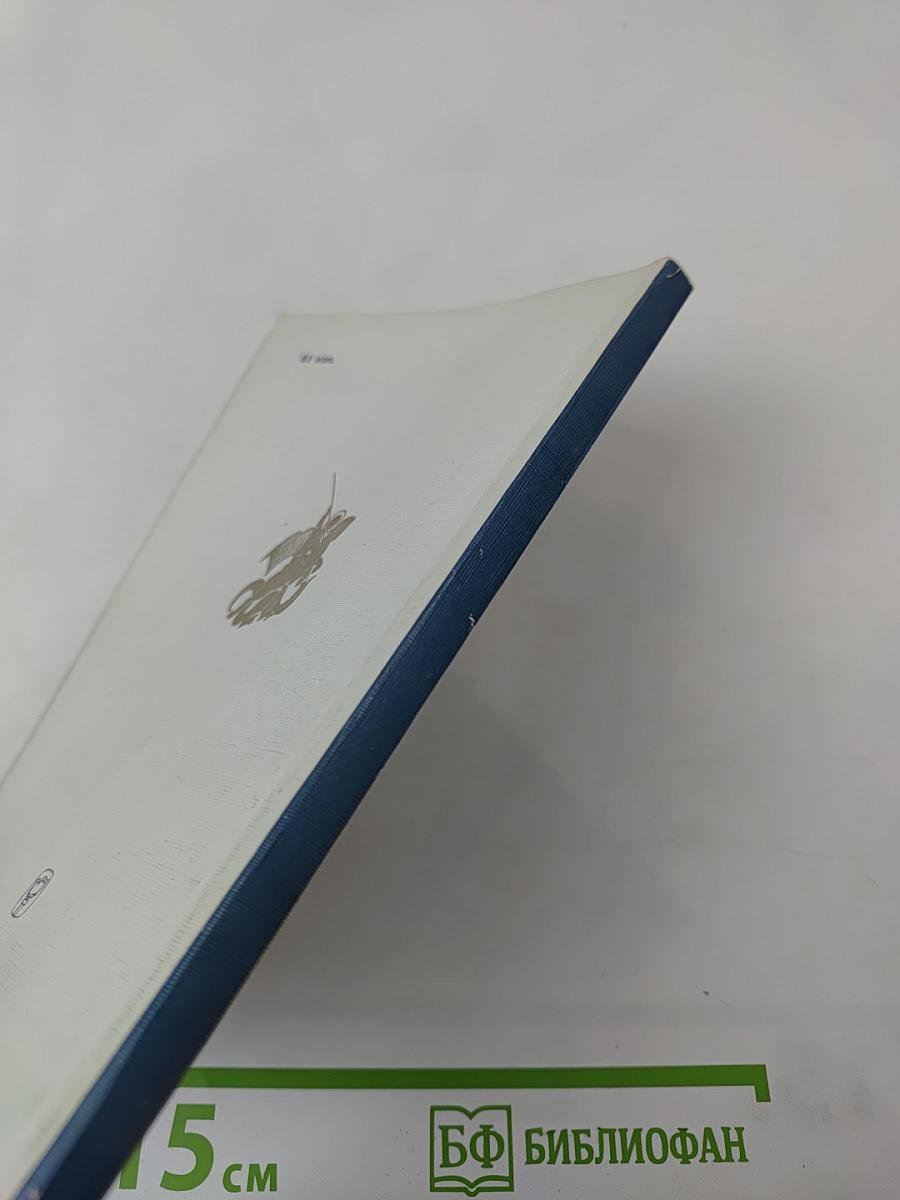 Ковыль-трава на Куликовом поле