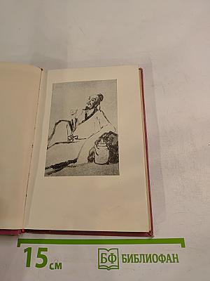 Избранная лирика