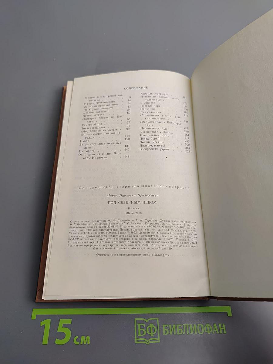 Под Северным небом