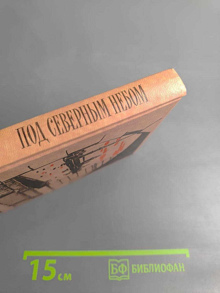 Под Северным небом