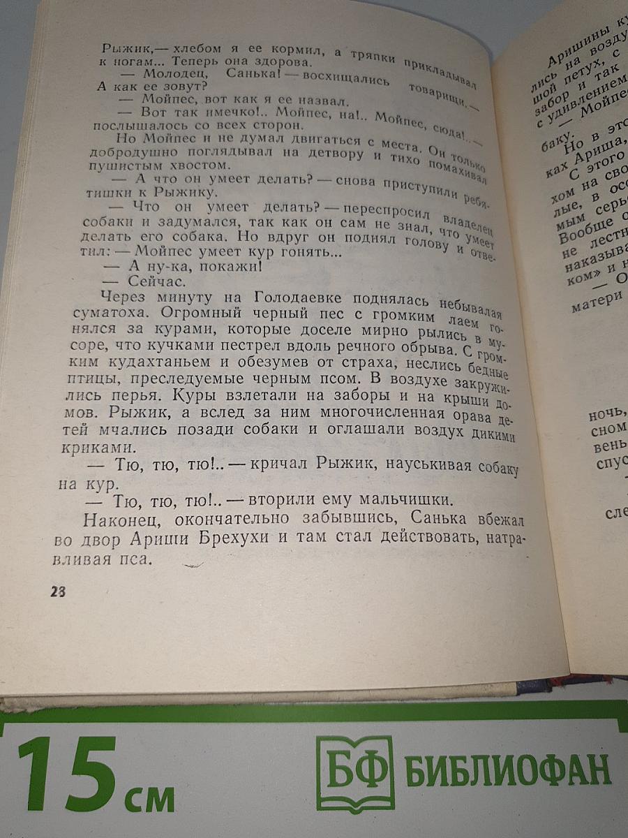 Рыжик