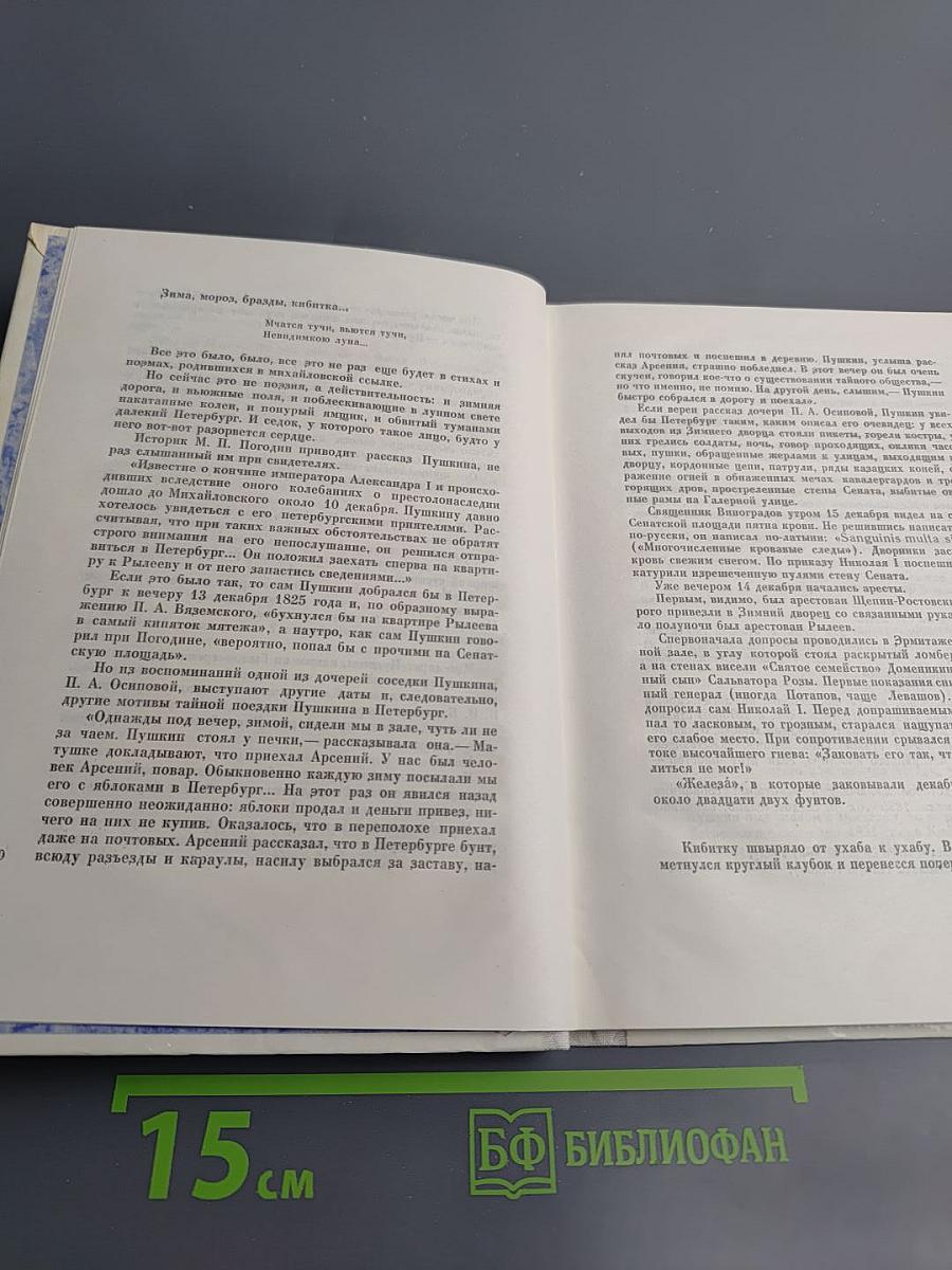 Кастальский ключ. Эссе