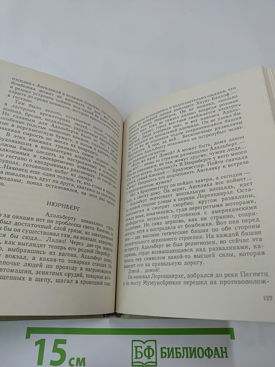 Нюрнбергские призраки. Книга первая