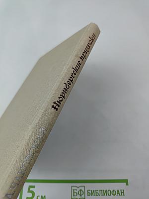 Нюрнбергские призраки. Книга первая