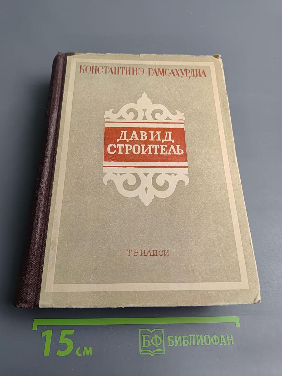 Давид Строитель. Книги первая и вторая