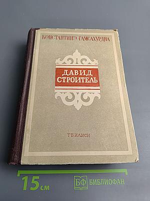 Давид Строитель. Книги первая и вторая